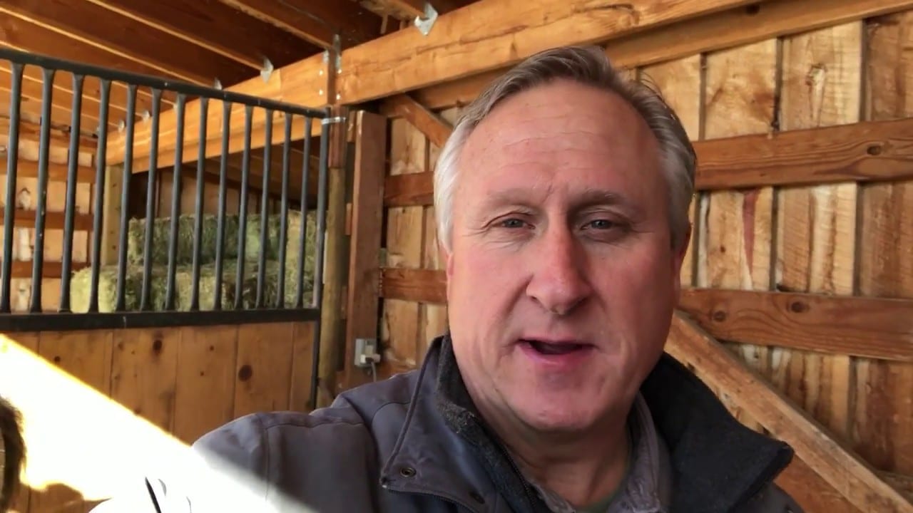 How to Get Love and Affection Without Having to Pay For It