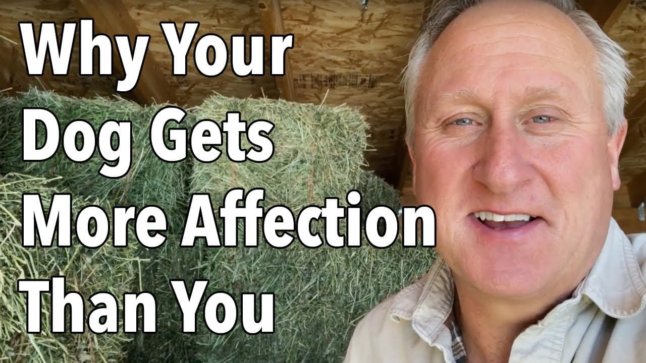 How to Jump Start Your Mojo and Start Creating More Connection