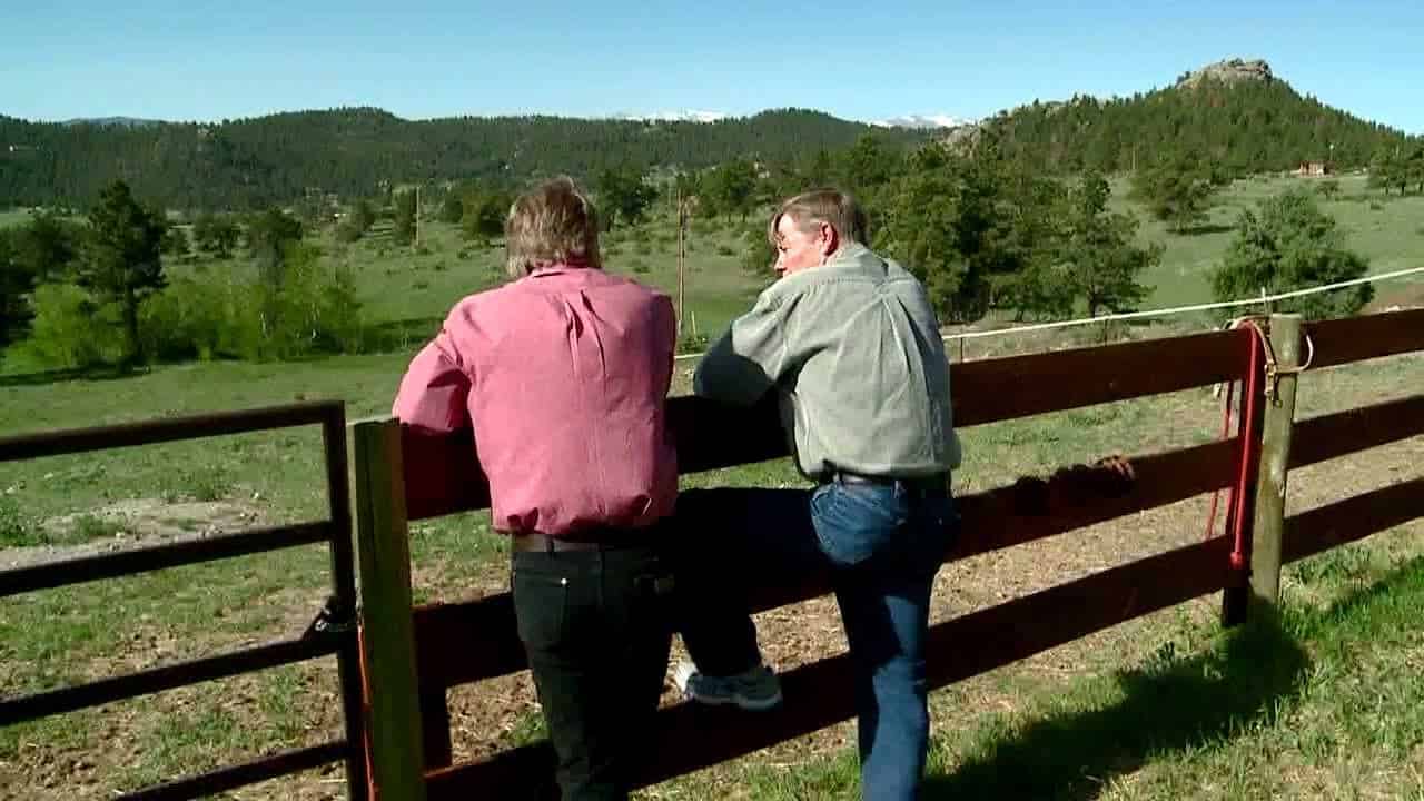 You Can Attract Her!